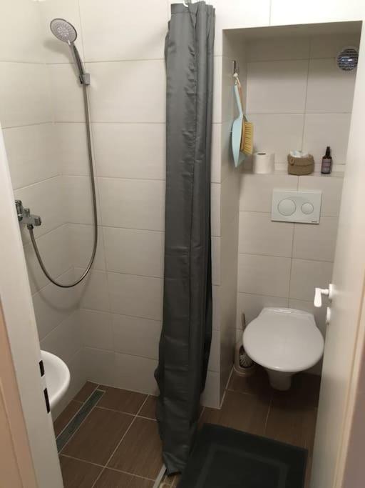 Hradcany With Energy Appartement